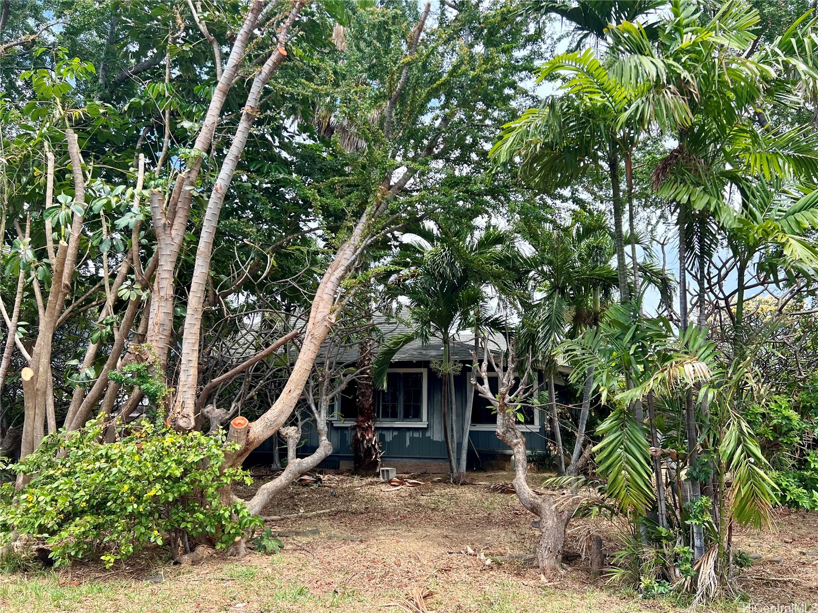 Honolulu Home Residence