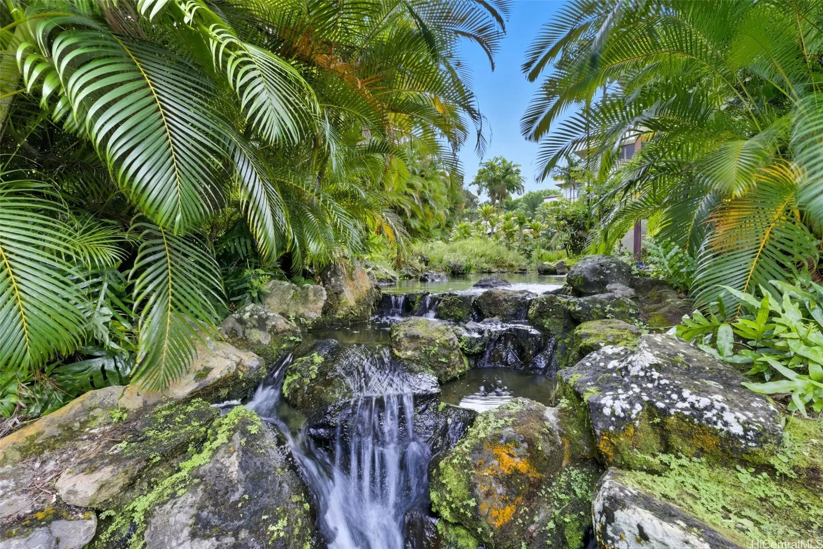 Kaneohe, Hawaii 96744, United States, 1 Bedroom Bedrooms, ,1 BathroomBathrooms,Residential,Active,222443