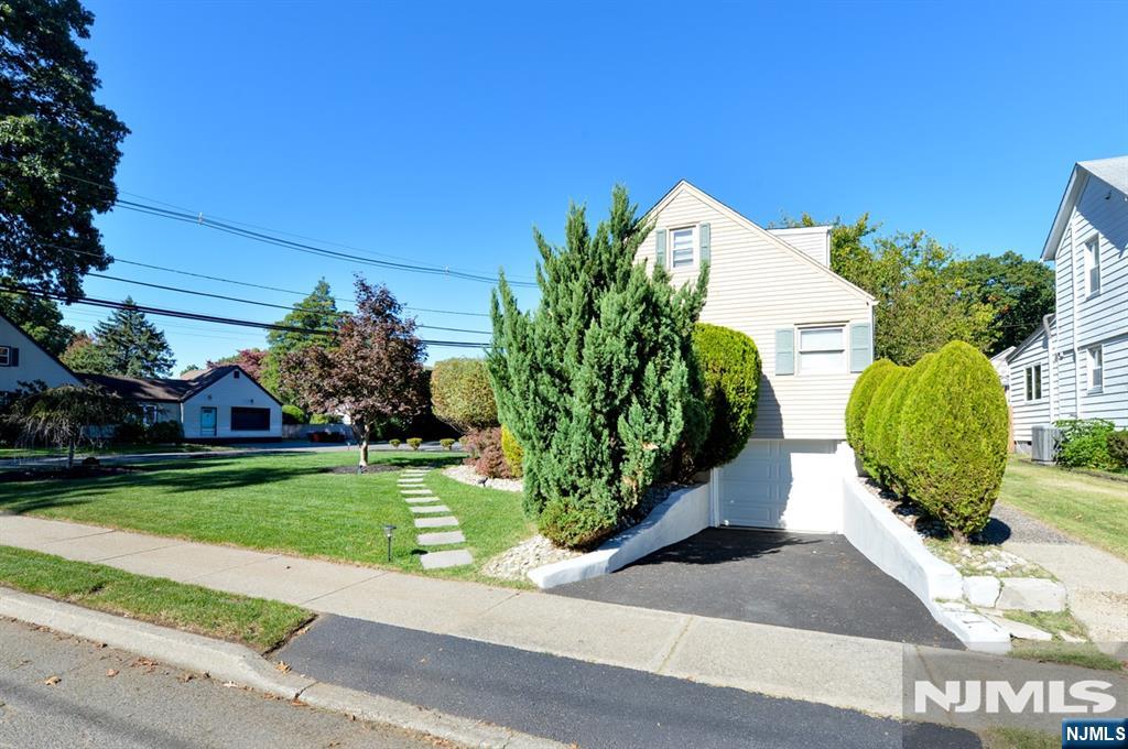 56 Wyandotte Avenue