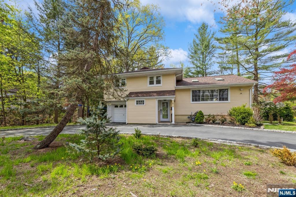 11 Meadow Street
