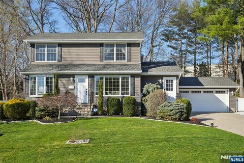 19 White Terrace Ramsey NJ 07446