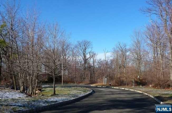 Property for Sale at 30 Tulip Tree Lane, Alpine, New Jersey -  - $5,999,000