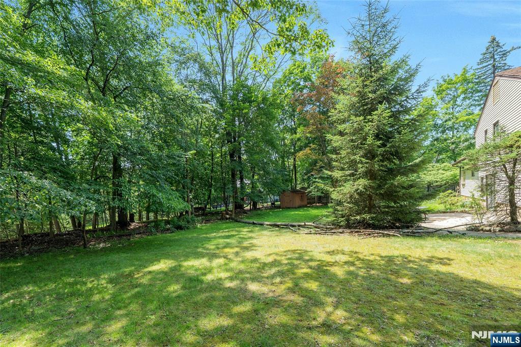 217 Alberon Drive