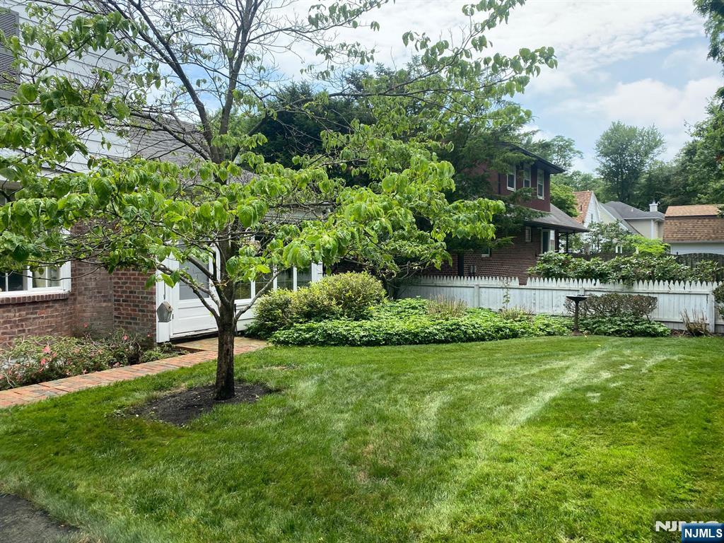 55 Forest Road