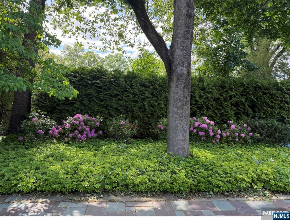 Emerson, New Jersey 07630, United States, 5 Bedrooms Bedrooms, ,4 BathroomsBathrooms,Residential,Active,193348