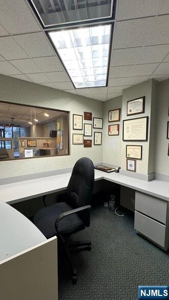 19 Phelps Avenue 1st Floor