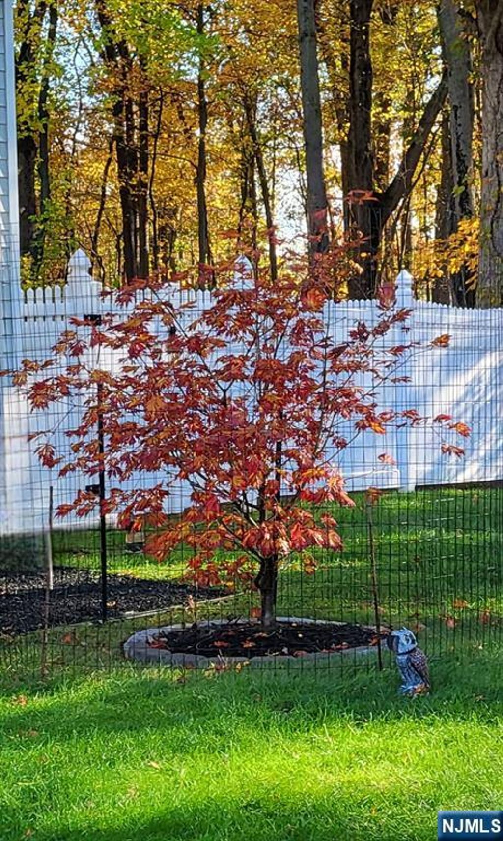 Photo of 5 Linden Ave, Emerson, NJ 07630 (MLS # 26003386)