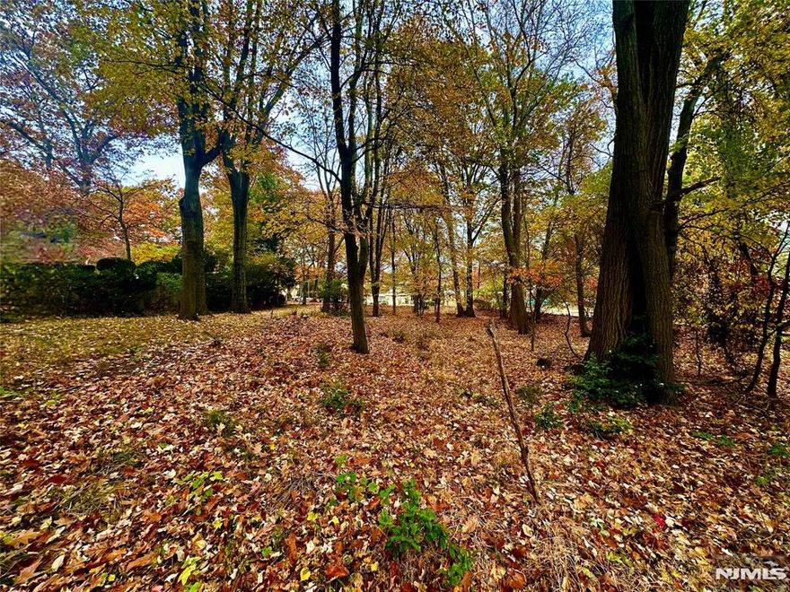 Welcome to a rare opportunity in one of Paramus' most convenient locations. Set directly across from Memorial School and Constitution Grove Park, this 15,338 sq ft lot (100' x 153') is a beautiful canvas for your future home. With its north facing frontage, the property is poised for a warm, light filled backyard retreat behind. Centrally located near Paramus Middle Schools, Paramus High School, shopping, parks, houses of worship, transit, and major highways, this lot offers both everyday convenience and a sense of neighborhood charm. One of four subdivided parcels, this particular lot features the largest building footprint of them all. It is zoned R-75, single-family, with utility access at the street. Please note, this is a land sale only. The homes shown in the listing photos are for example purposes only and do not represent approved plans. Buyers should verify all details with Paramus zoning and building departments and consult with an architect to confirm exact building area and design possibilities. Don't miss out!