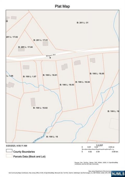 MLS: 25016036
