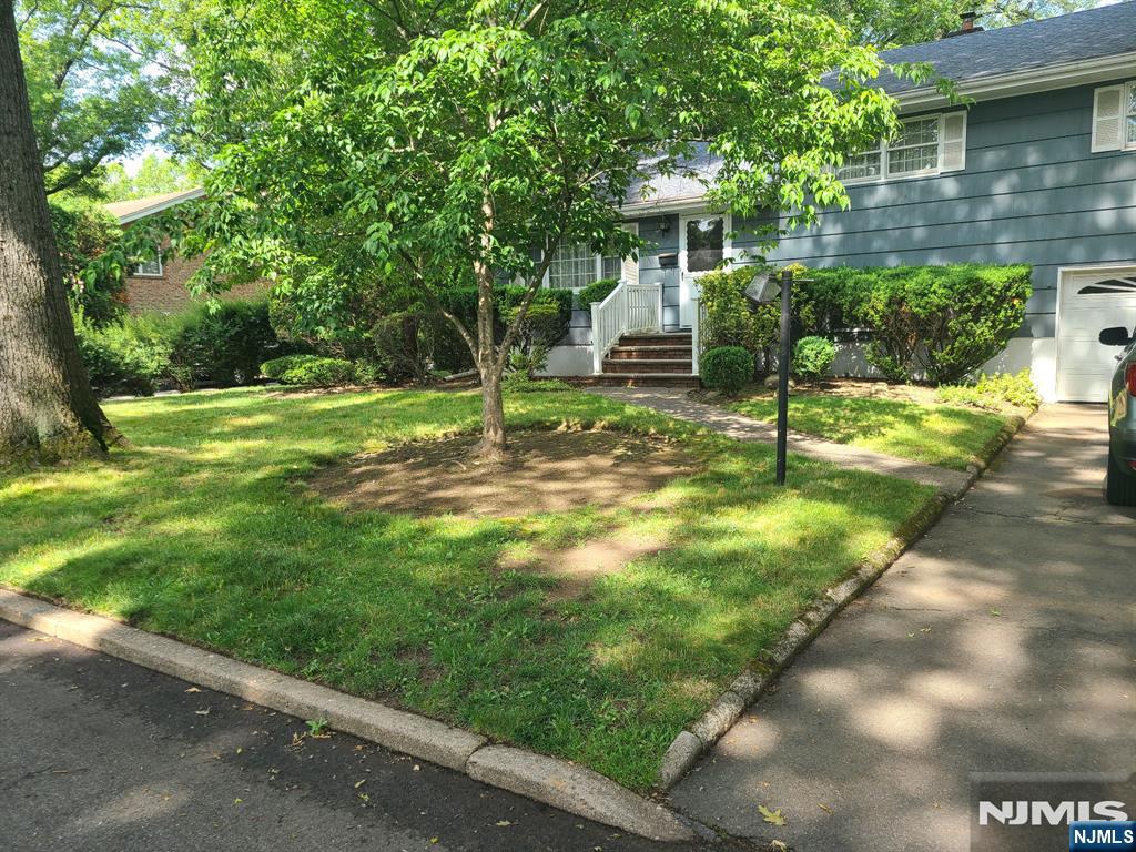 31 Arbor Drive