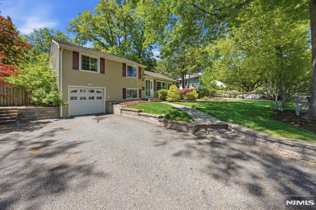 12 Willis Drive