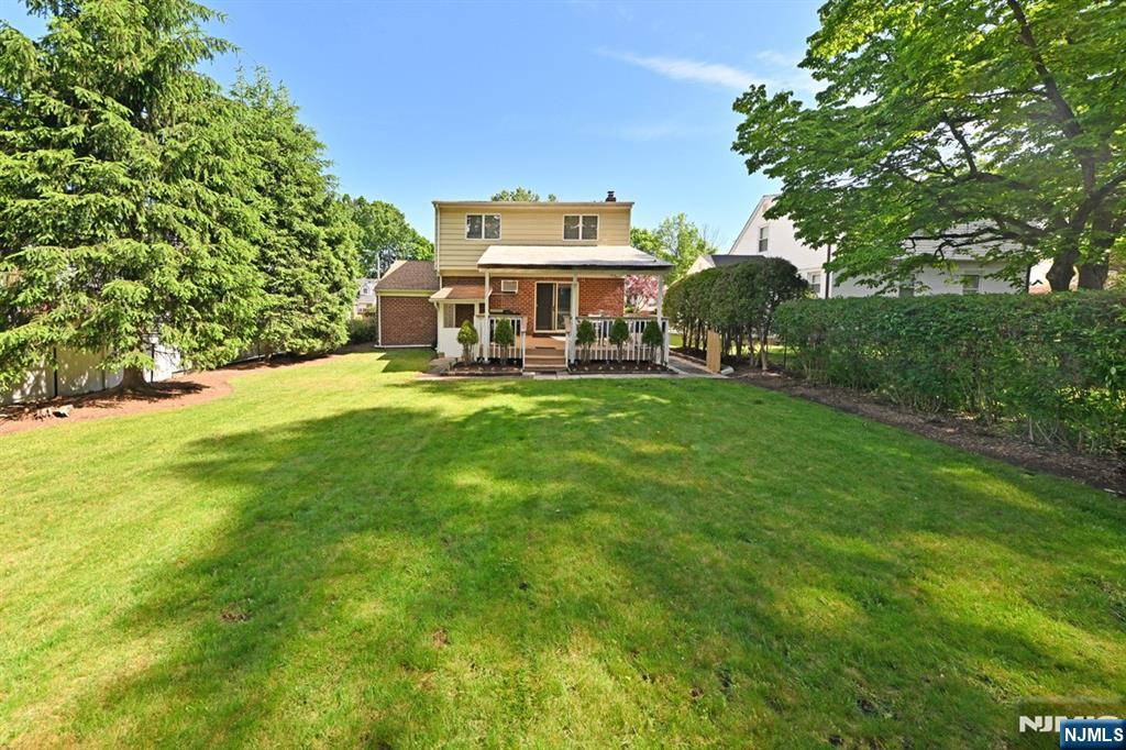 649 Taco Avenue