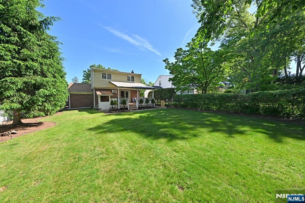 649 Taco Avenue