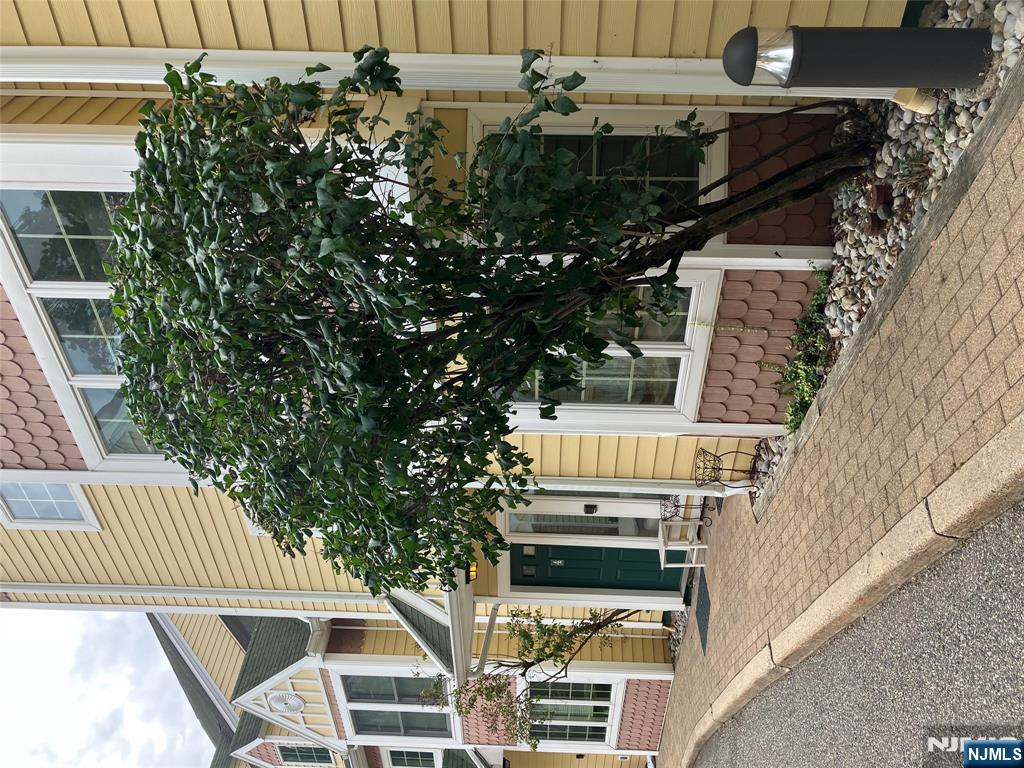 51 N Mountain Avenue 3