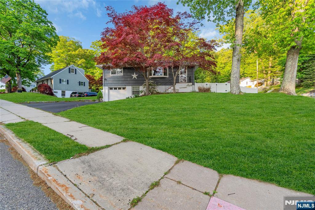 46 Rafkind Road