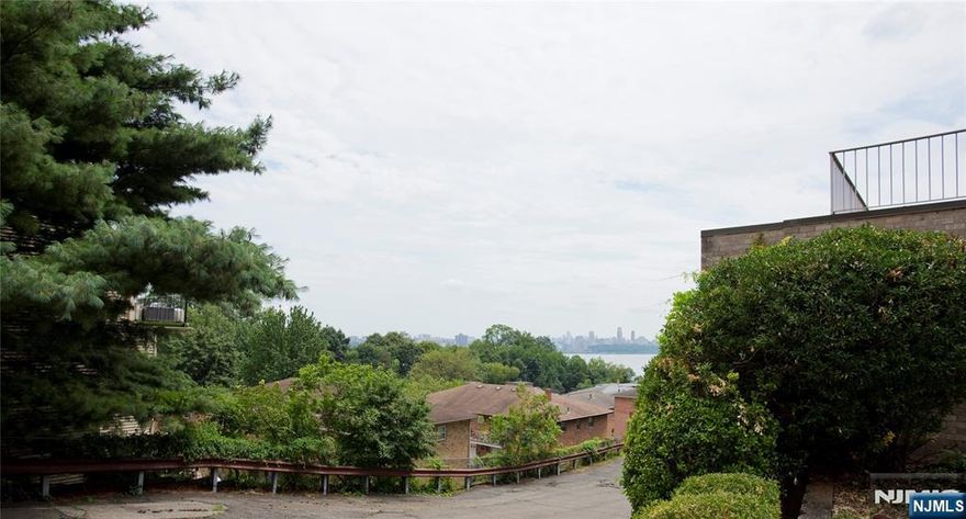 Spacious Studio with loft bedroom area, laundry in unit, all appliances included...Lovely quiet condo association...Views of NYC skyline...close to everything. Indoor parking included