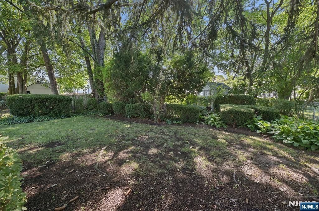 11 Concord Avenue