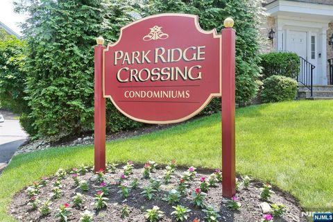 113 S Maple Avenue B Park Ridge NJ 07656