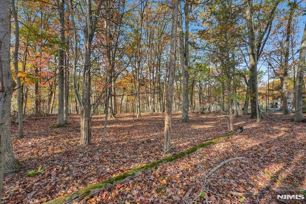 Photo of 212 Seminole Lane, Franklin Lakes, NJ 07417 (MLS # 26013470)