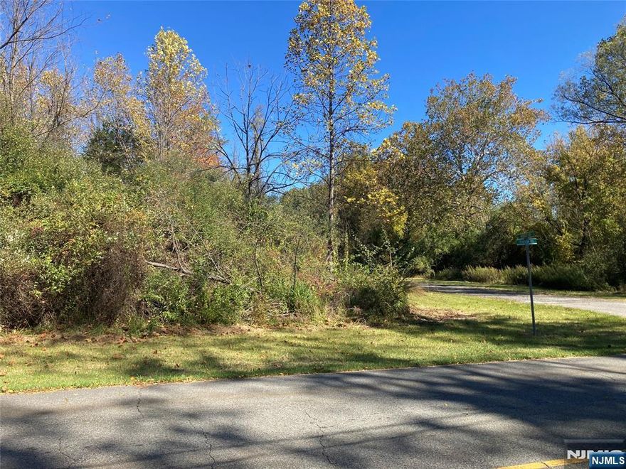Bring your vision and build your dream home on this beautiful 3-acre corner lot in scenic Warren County! Surrounded by preserved farmland and rolling countryside, this property offers the perfect blend of privacy and convenience. Quick access to Routes 80 & 94 ideal for commuters. An electrical box is on the property and expired perc test on file. Buyer responsible for conducting their due diligence for a new perc test and any required town approvals. A wonderful opportunity to create your ideal retreat or forever home in a peaceful rural setting!
