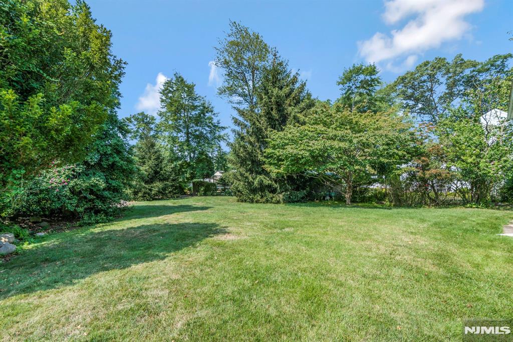 316 Birch Parkway