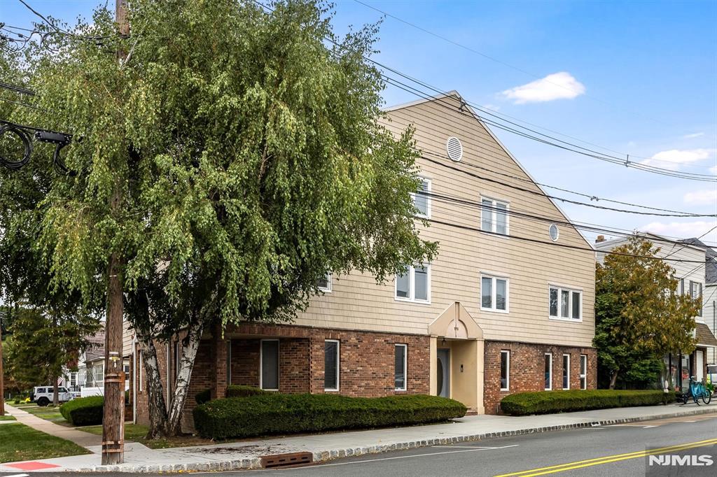 176 Chestnut Street 203