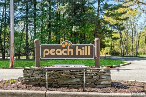 Photo of 57 Peach Hill Court, Ramsey, NJ 07446 (MLS # 26014726)
