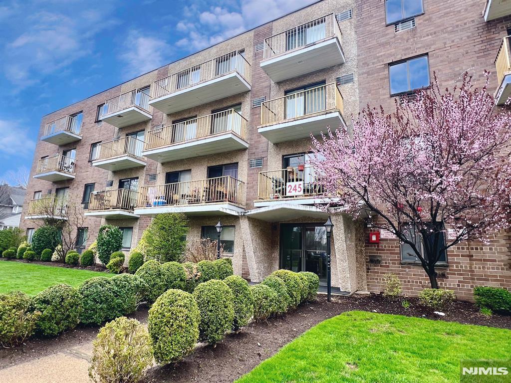 245 Anderson St 1B, Hackensack, New Jersey - 1 Bedrooms  
1 Bathrooms  
4 Rooms - 