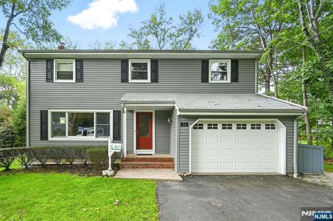 73 Louville Avenue Park Ridge NJ 07656