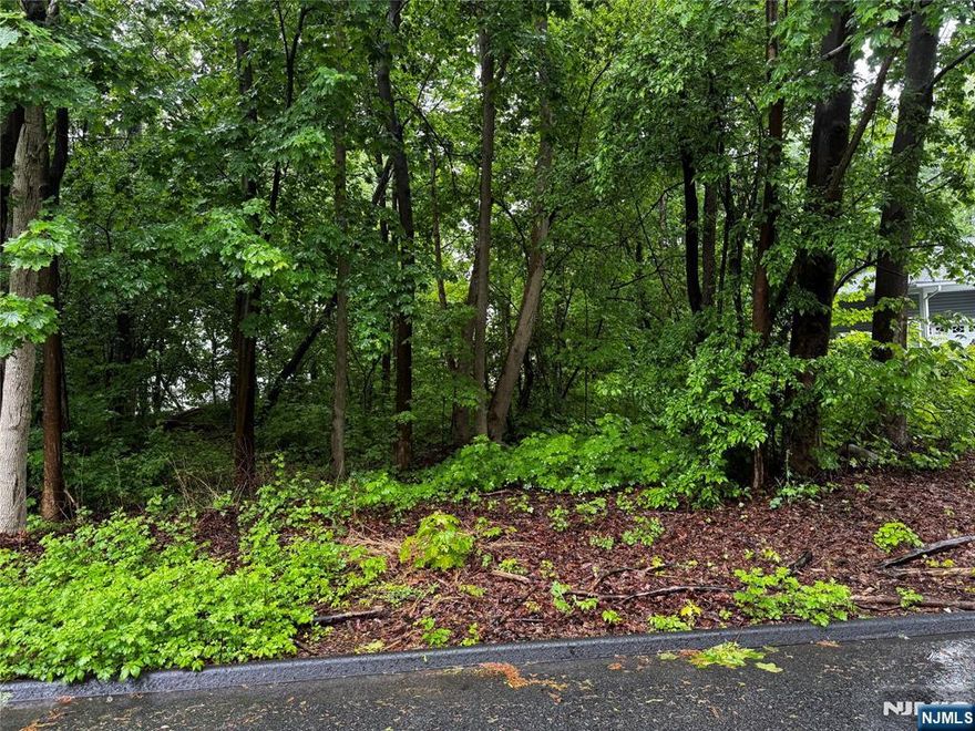 .32 acres of vacant land in a great neighborhood, close to Rte 23 access. Do not wait build the home of your dreams. Call Gary for more information, 201-776-6000.