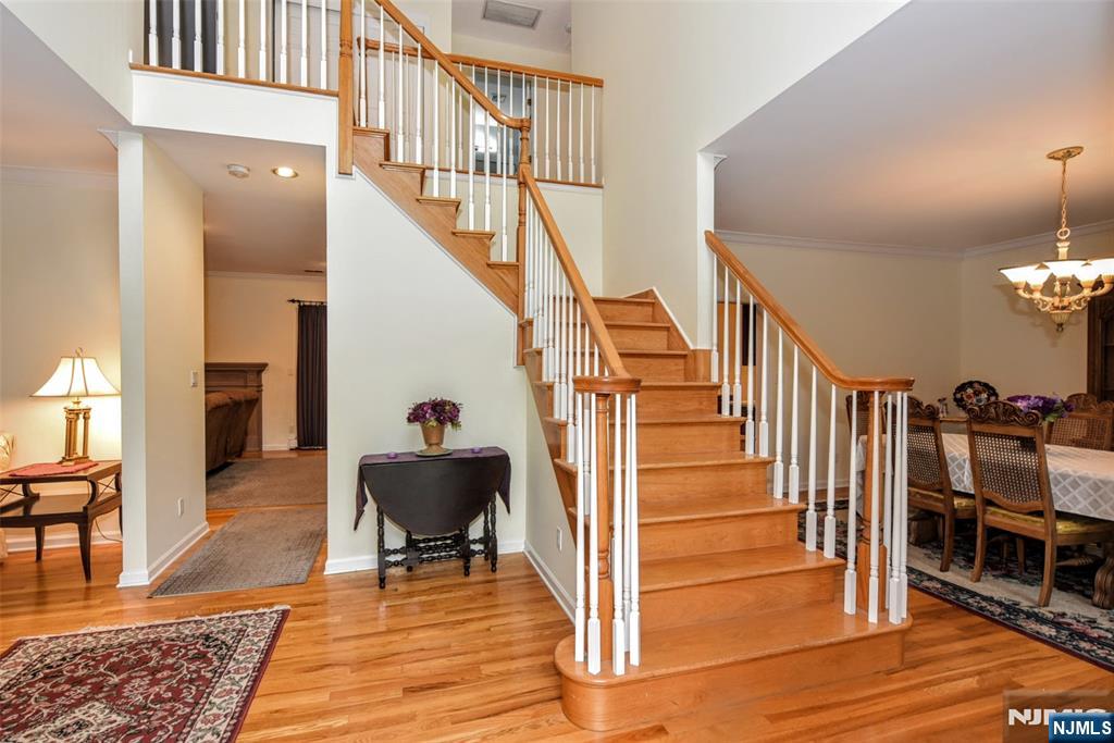 48 Ackerman Street