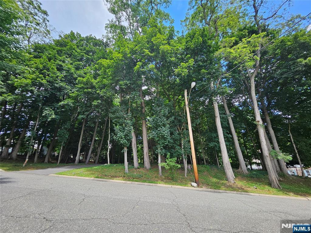 18 Locust Road
