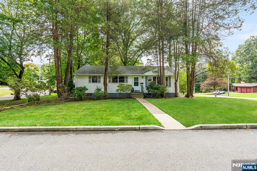 11 Mapleleaf Drive