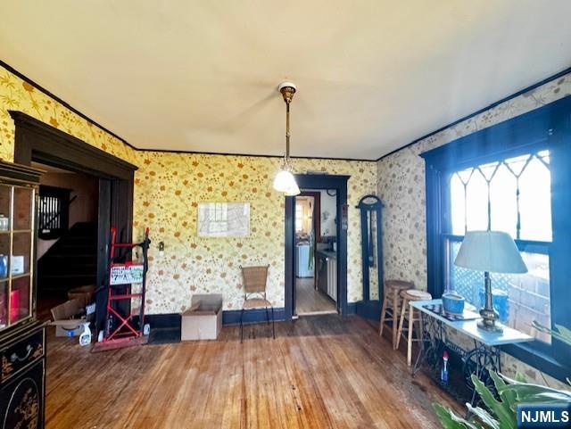 48 Willow Street