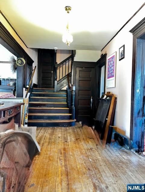 48 Willow Street