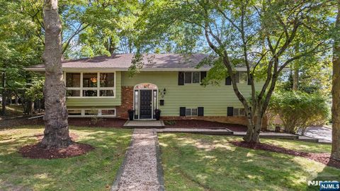 230 Capri Terrace Park Ridge NJ 07656