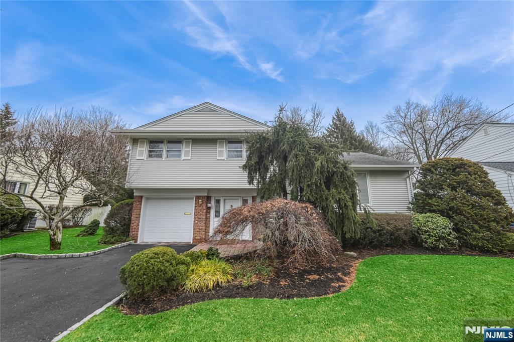 113 Walnut Drive