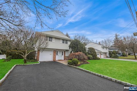 113 Walnut Drive Tenafly NJ 07670
