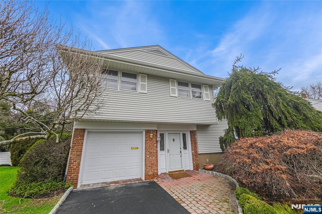 113 Walnut Drive