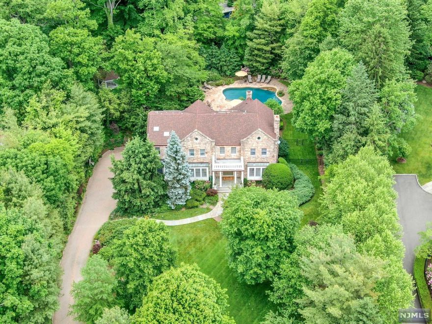 A very rare find/exquisite stone and masonary stucco center hall colonial nestled on a private heavily landscaped acre property with Free Form Gunite Pool surrounded by Stone Patios & Specimen Plantings; situated on the premier North, quiet side of Pike St. not backing to Hillside Ave. Cathedral Ceiling in Family Room & Master Bedrm. New Baths. Large Living room, and Family Room with Fireplace. NEW Large Chefs Kitchen with Breakfast Area, separate South facing Sun Room/Solarium flooded with light! The entire first floor has minimum 10 foot ceilings and decorative moldings in all main reception rooms. Guest Suite on first floor. 3 Car Garage, Paver Driveway, Extensive Landscape Lighting.. Gazebo overlooking a picturesque stream. Full finished lower level with new carpeting. Gorgeous resort like property. Well appointed, sensational, meticulously maintained Alpine home with LOW PROPERTY TAXES and full house generator.