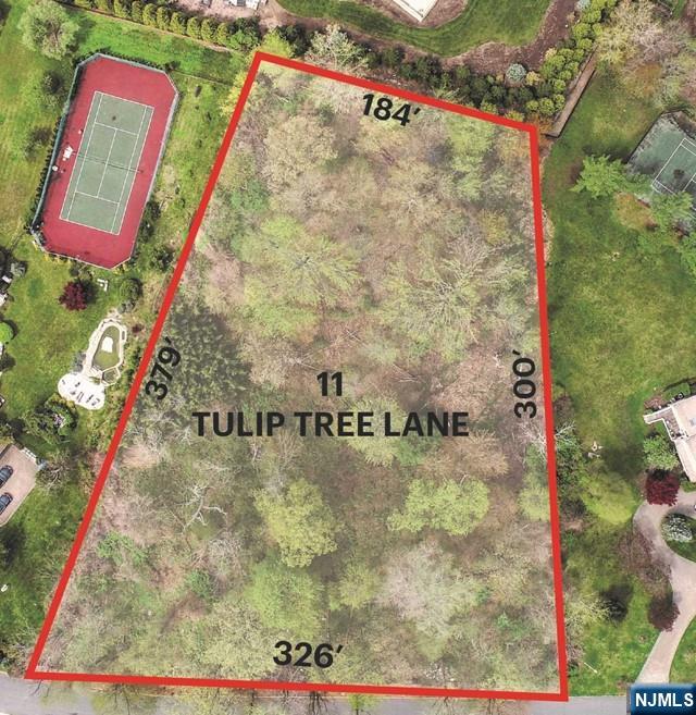 Property for Sale at 11 Tulip Tree Lane, Alpine, New Jersey -  - $4,280,000