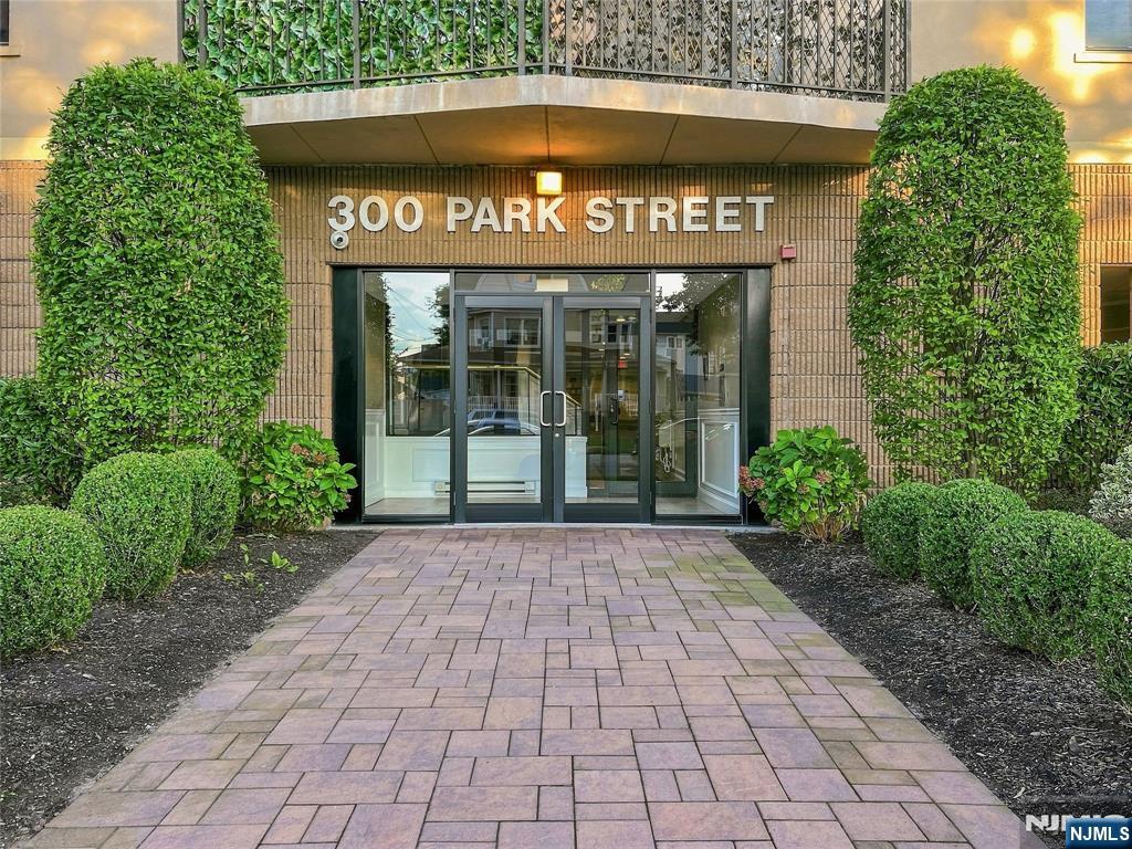 300 Park Street 1F
