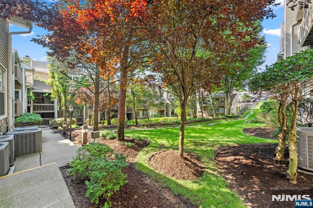 531 Windsor Drive