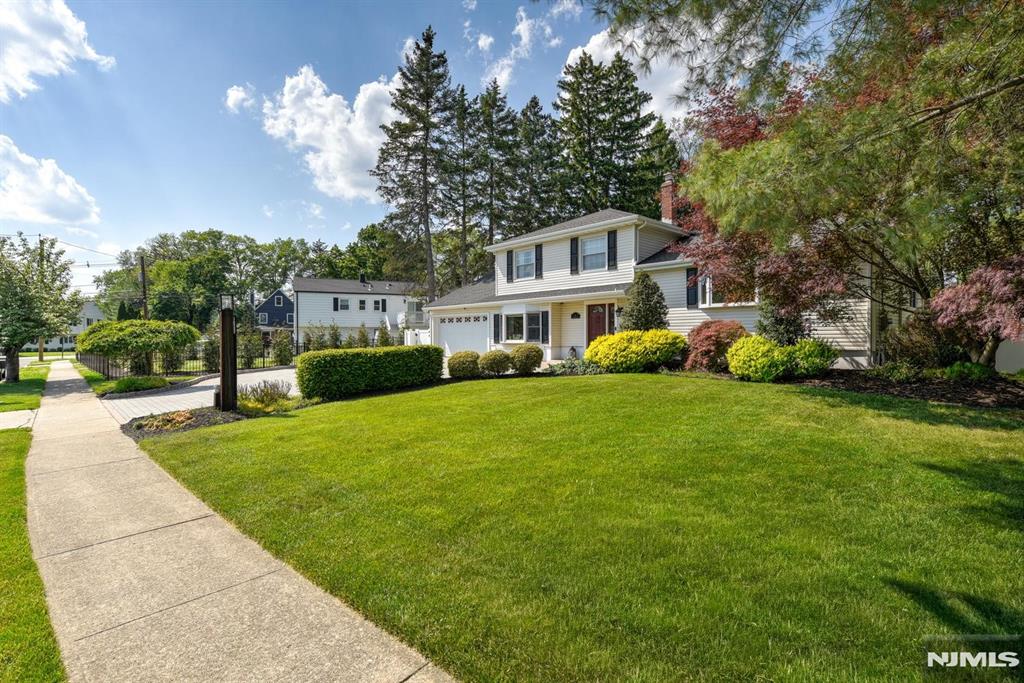 11 Carlisle Road