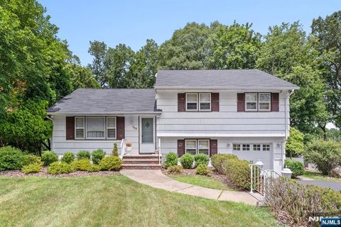 762 White Birch Road Twp of Washington NJ 07676