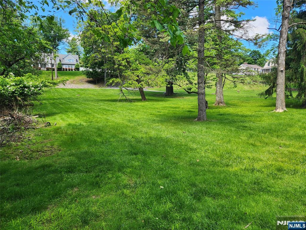 185 Wilmore Road, Little Falls, New Jersey -  - 