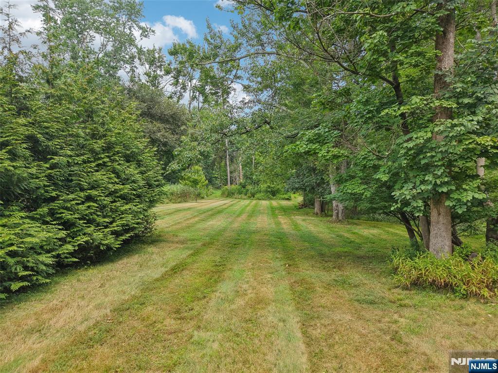 773 W Saddle River Road