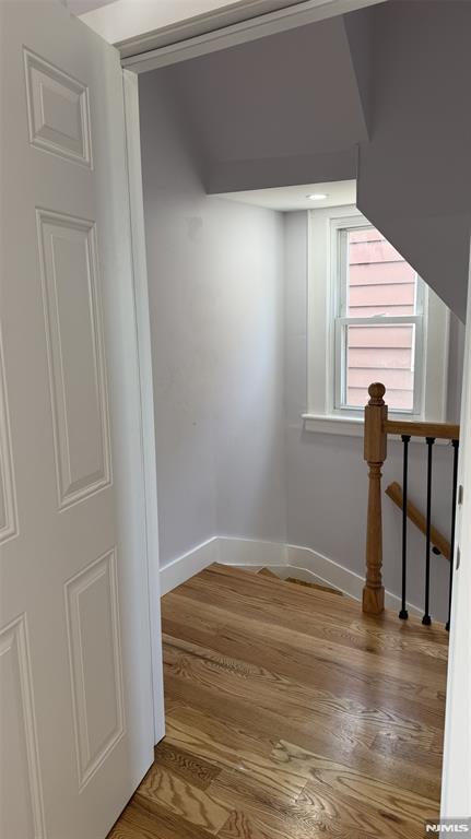 41 Knapp Avenue 2