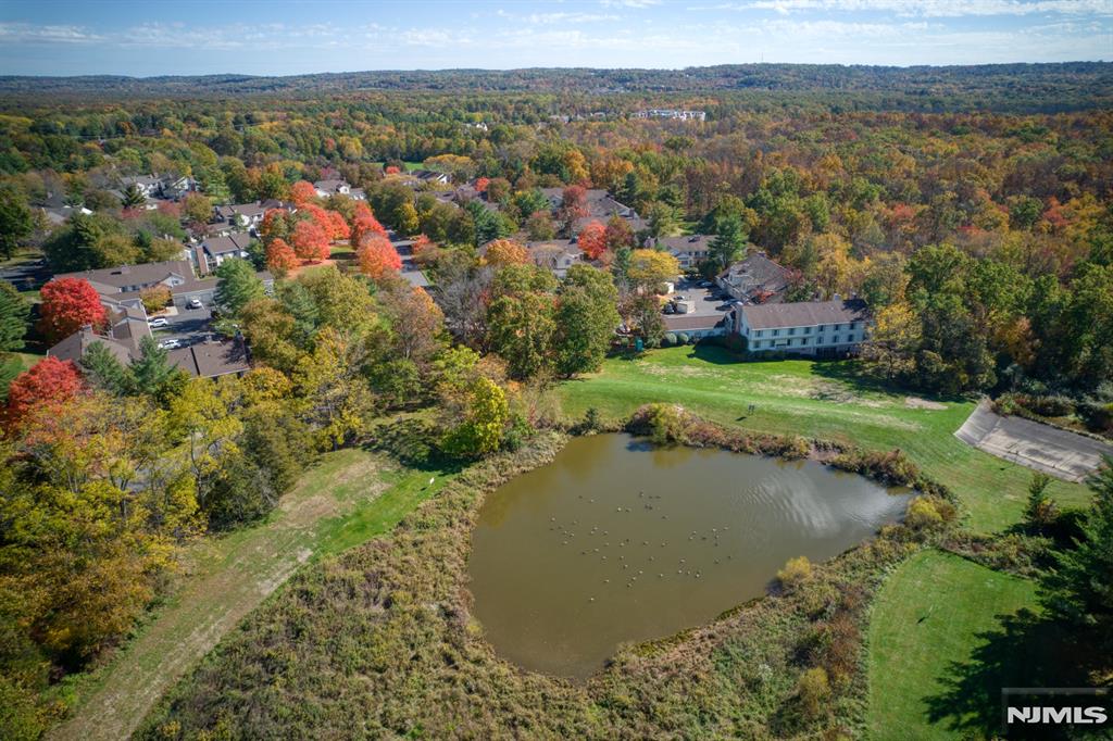 Bernards, New Jersey 07920, United States, 1 Bedroom Bedrooms, ,1 BathroomBathrooms,Residential,Pending,78560