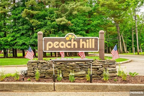 Photo of 23 Peach Hill Court, Ramsey, NJ 07446 (MLS # 26019584)